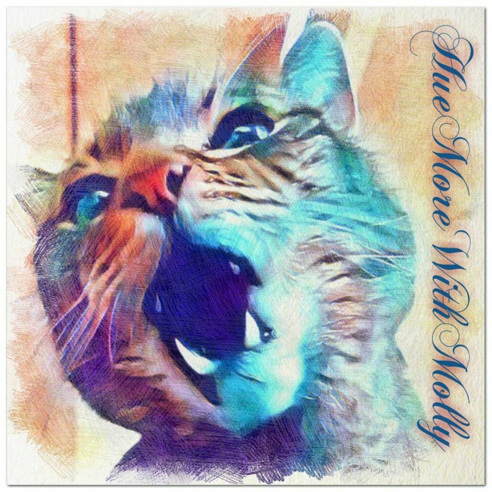 Here I am! - Picture 2 of 2